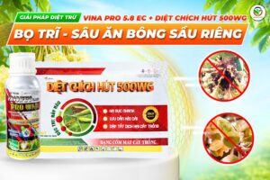 Bộ sản phẩm bọ trĩ, sâu ăn bông
