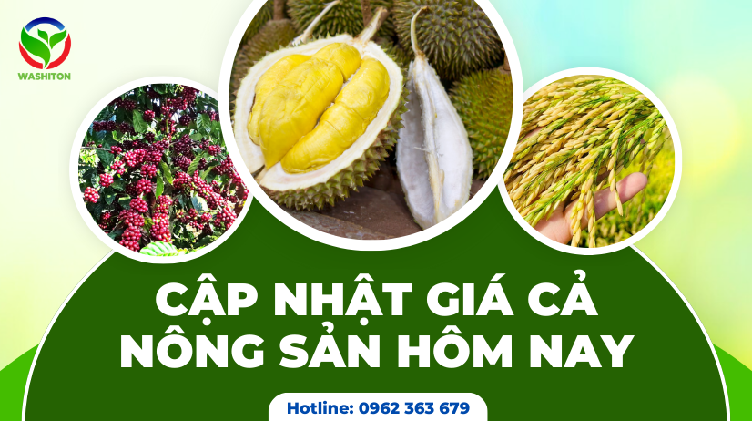 CẬP NHẬT GIÁ CẢ NÔNG SẢN HÔM NAY