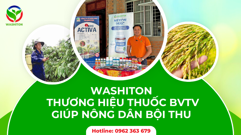 Công ty cổ phần xuất nhập khẩu Washiton – Kiến tạo những mùa vàng bội thu