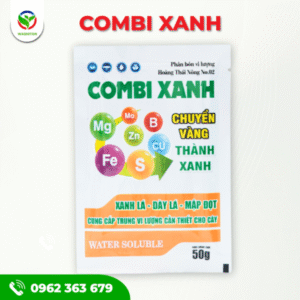 COMBI XANH