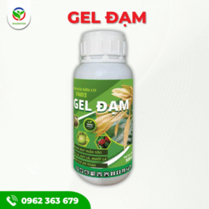 GEL ĐẠM
