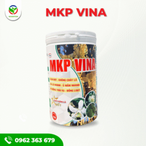 MPK VINA