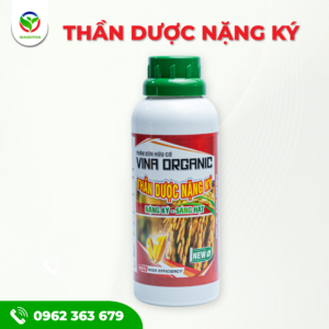 THẦN DƯỢC NẶNG KÝ