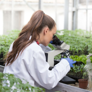 Thử nghiệm độ tương hợp