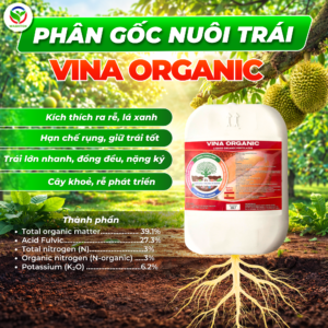 VINA ORGANIC – Giai đoạn 30-60 ngày (Trái tăng trưởng mạnh)