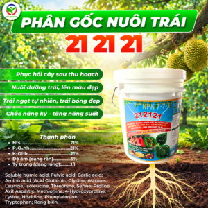 NPK 21-21-21 – Giai đoạn 60-90 ngày đến thu hoạch (Vô cơm)