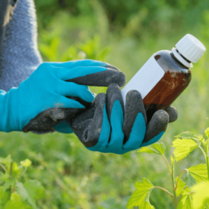 Thứ tự pha các dạng thuốc bảo vệ thực vật chuẩn