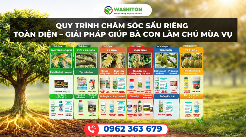 QUY TRÌNH CHĂM SÓC SẦU RIÊNG TOÀN DIỆN – GIẢI PHÁP GIÚP BÀ CON LÀM CHỦ MÙA VỤ