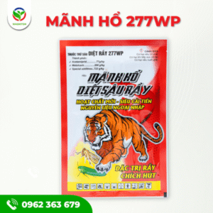 BÒ CẠP ĐỎ 277WP