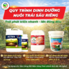 QUY TRÌNH DINH DƯỠNG NUÔI TRÁI SẦU RIÊNG