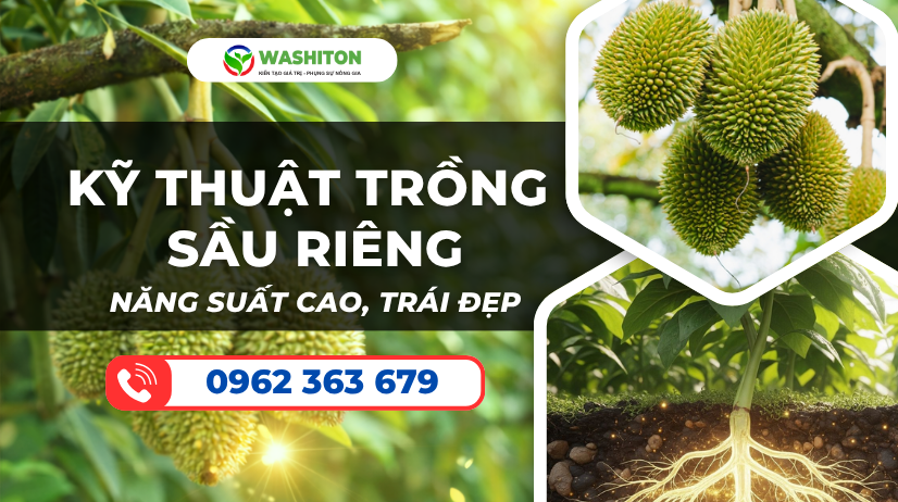 KỸ THUẬT TRỒNG SẦU RIÊNG