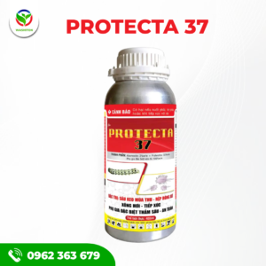 PROTECTA 37