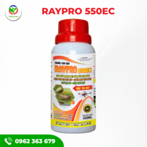 RAYPRO-550EC