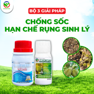 CHỐNG SỐC - GIẢM RỤNG SINH LÝ